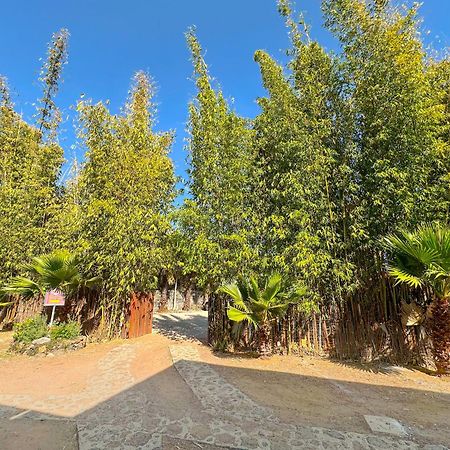Hotel Boutique Bacaanda Tepoztlan Εξωτερικό φωτογραφία