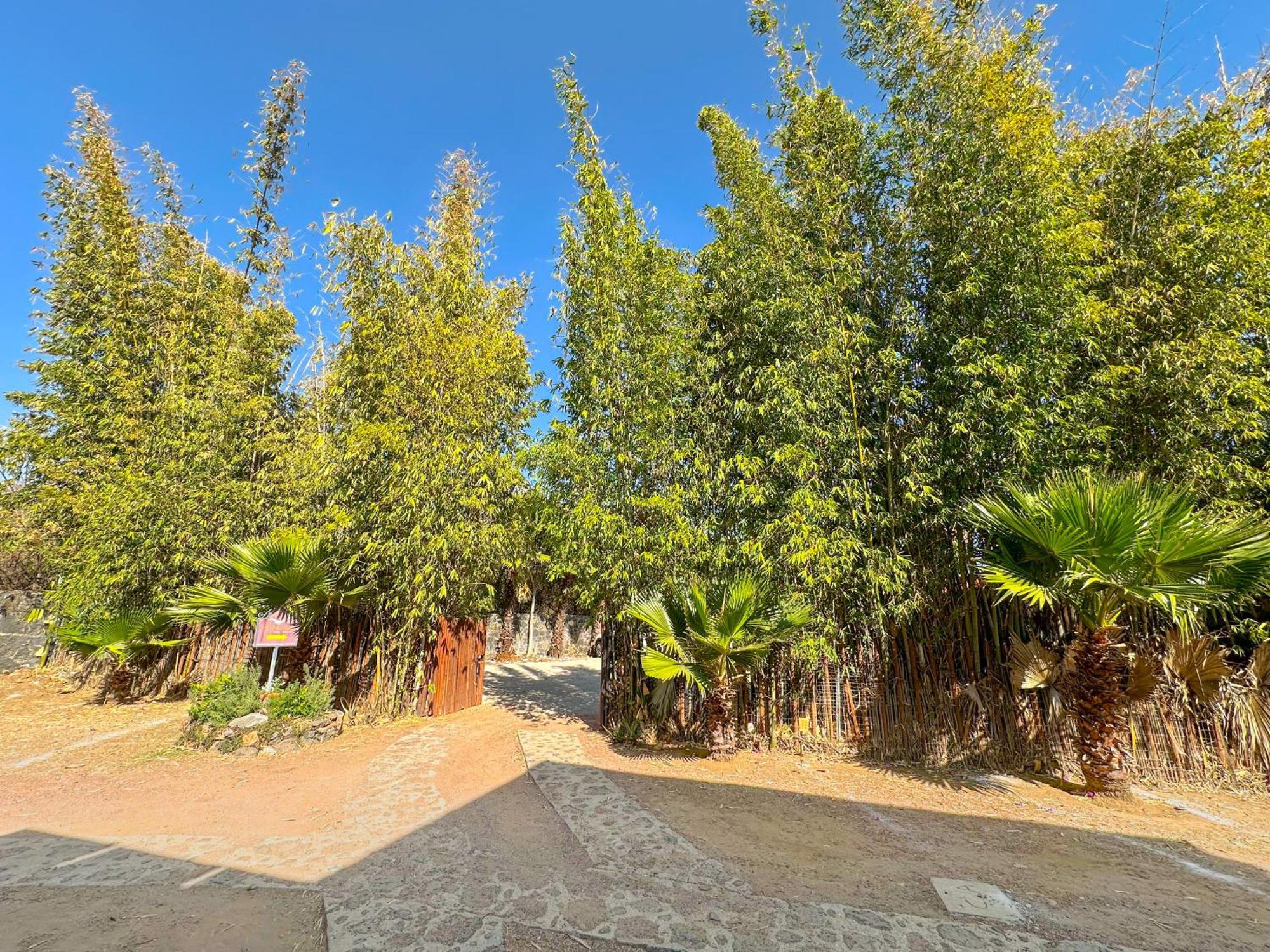 Hotel Boutique Bacaanda Tepoztlan Εξωτερικό φωτογραφία